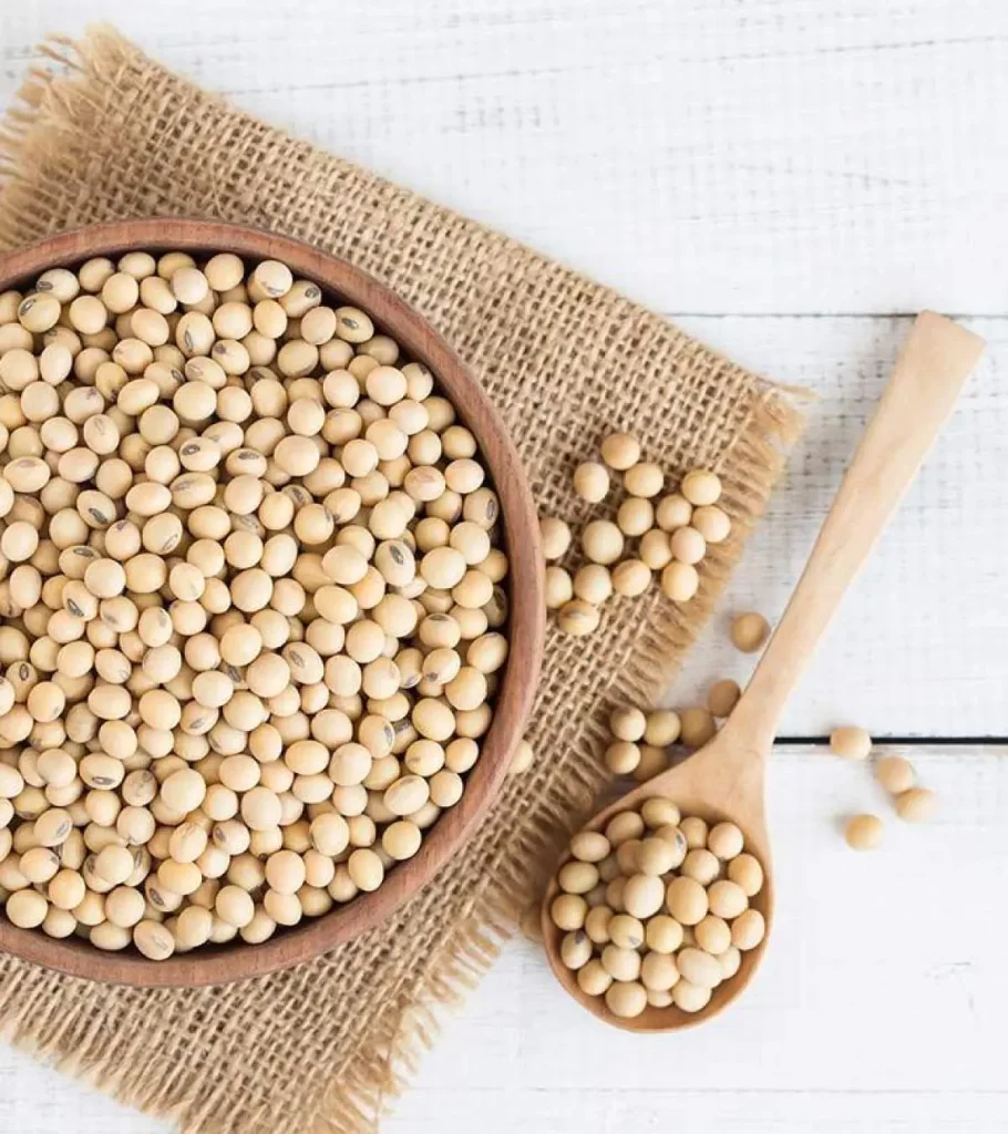 food-grade soybeans for Japan