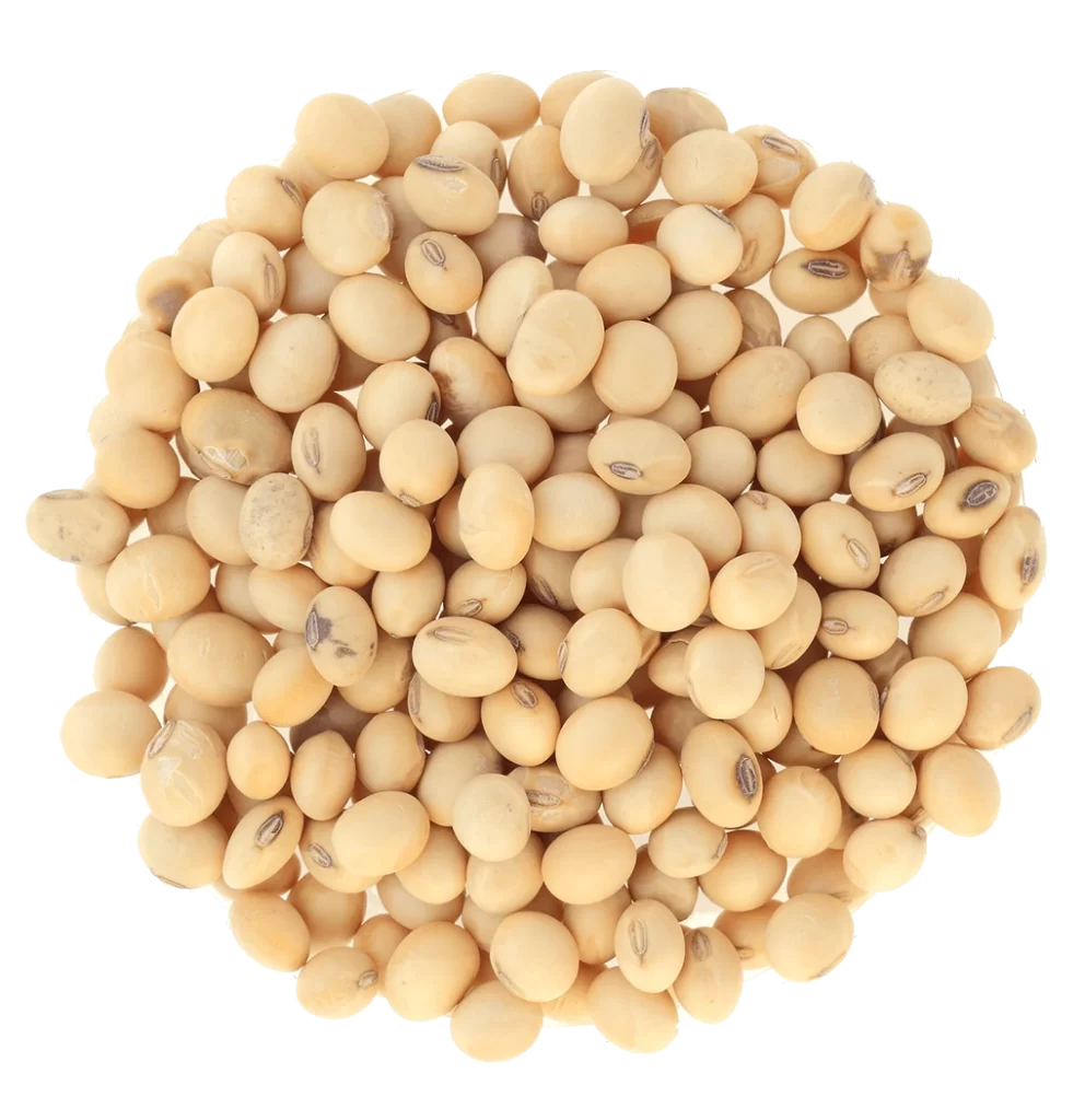non-GMO soybeans for Germany