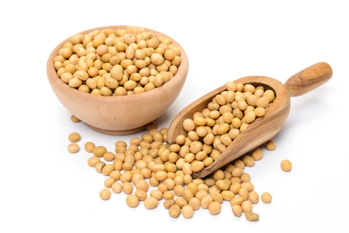 premium US Soybeans ready for global markets