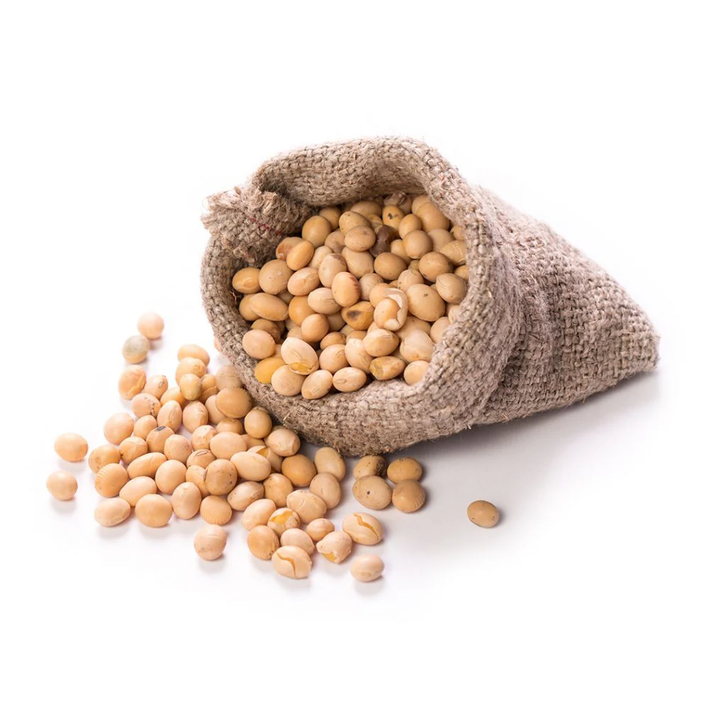 soybean export company in USA