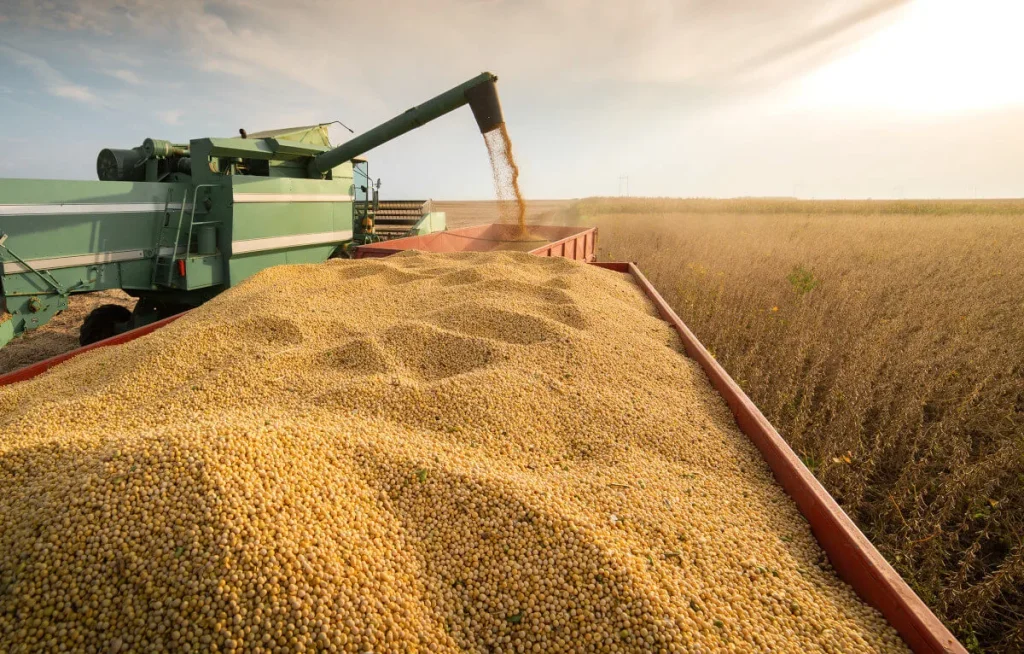 soybean export process