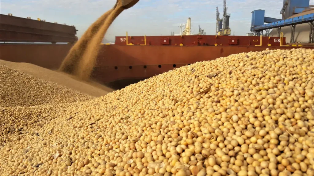 soybean export timeline