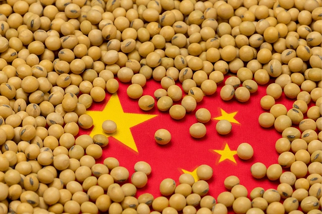 Trusted soybean exporter to China